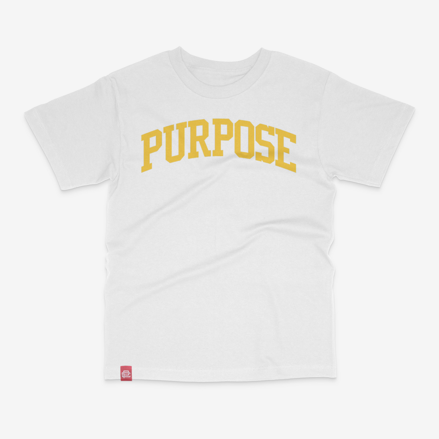 Purpose University