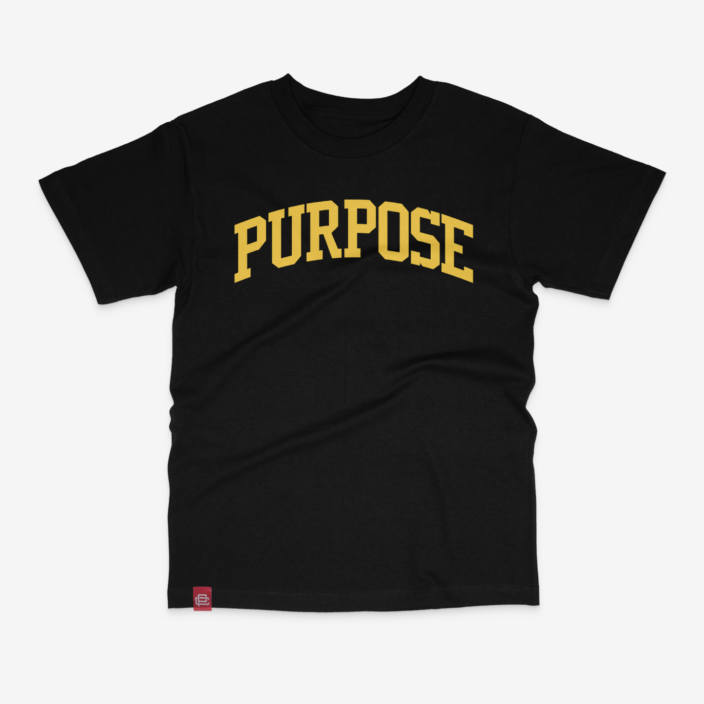 Purpose University