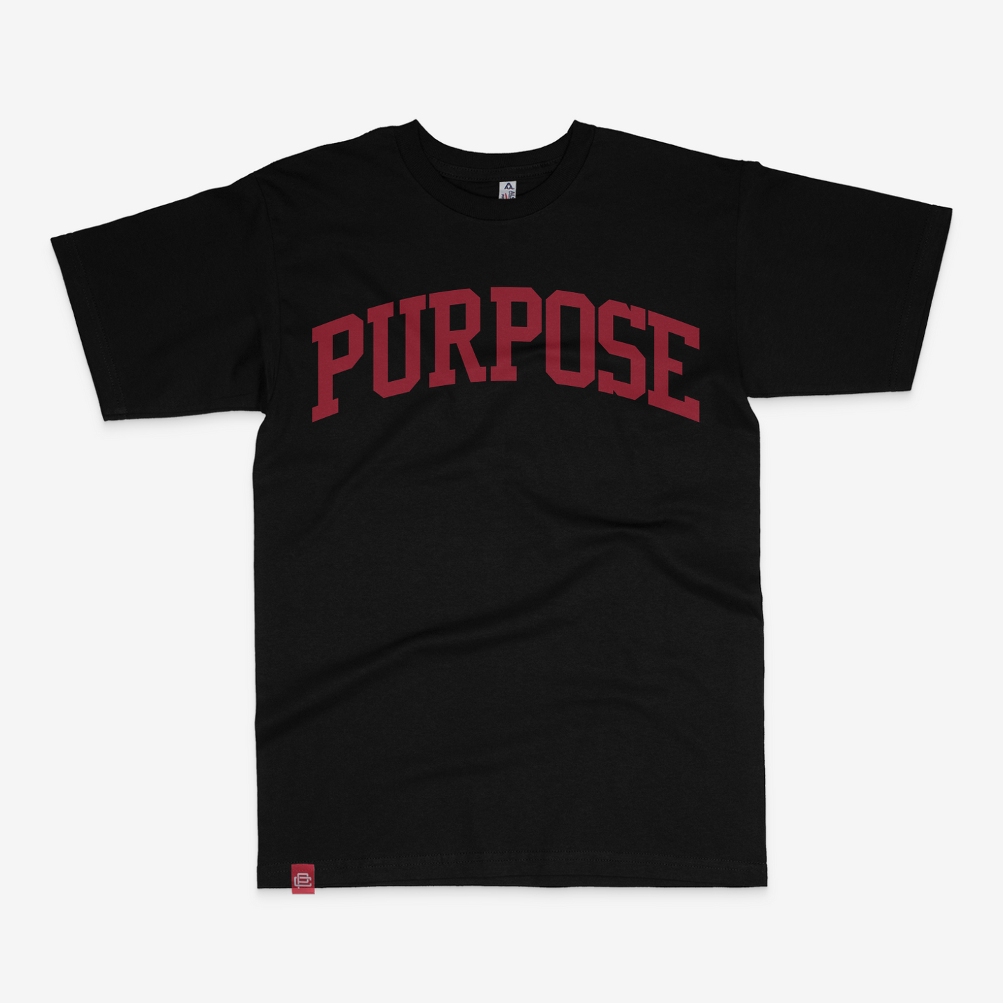 Purpose University